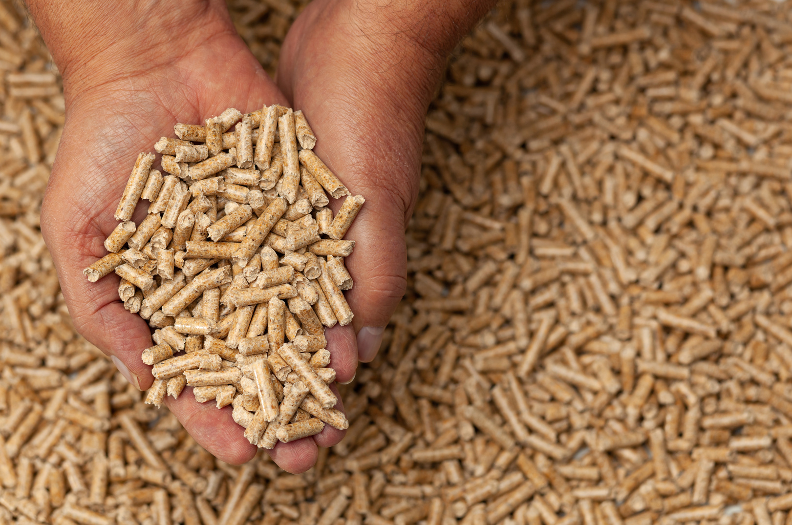 Wood Pellets in Hands