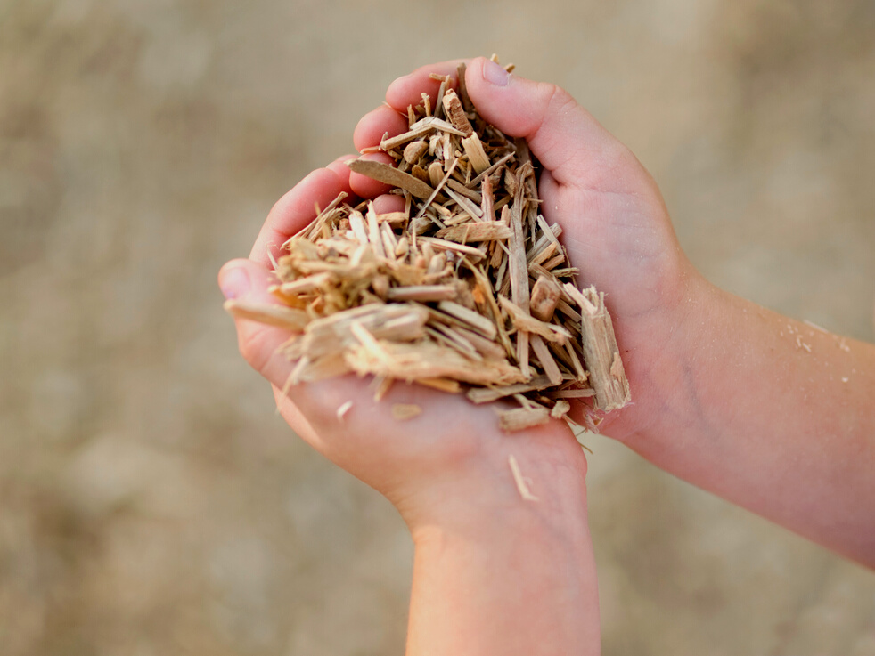 Hands Full of Sawdust
